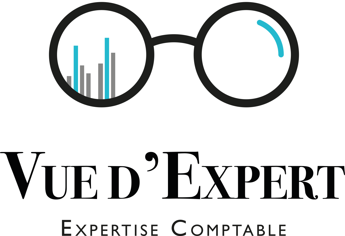 Logo Vue d'Expert Expert-Comptable au Lamentin, Martinique 97232